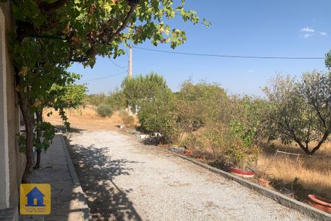 Отель Cortijo в Cebas, Granada - фотография 4